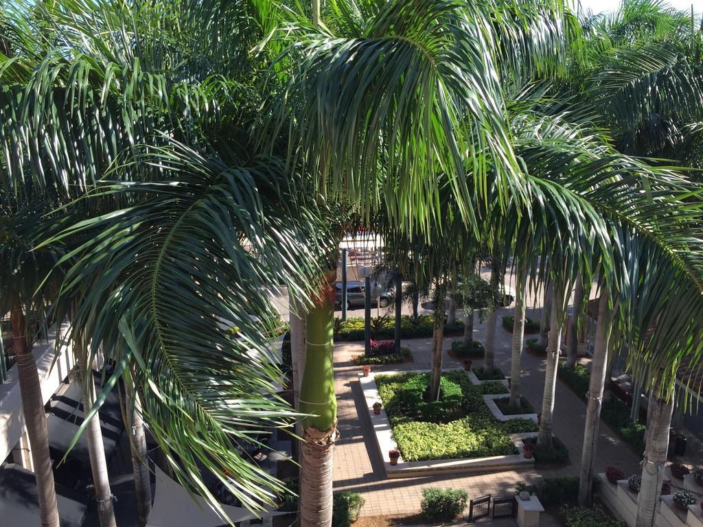 Lyx Suites At Merrick Park In קוראל גייבלס חדר תמונה