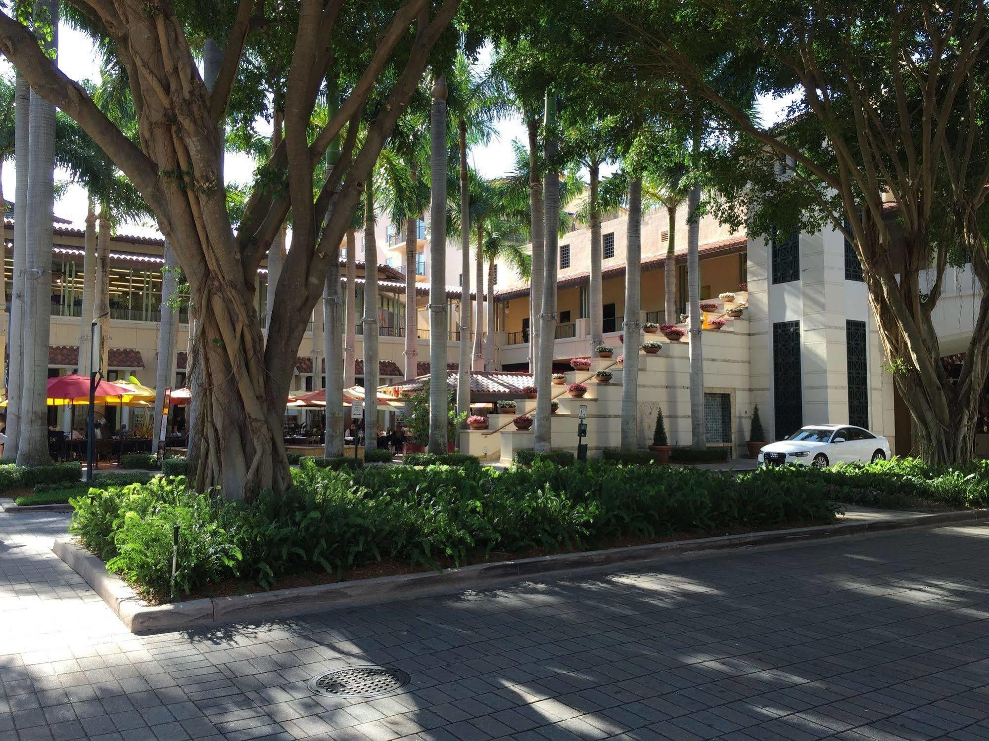Lyx Suites At Merrick Park In קוראל גייבלס מראה חיצוני תמונה